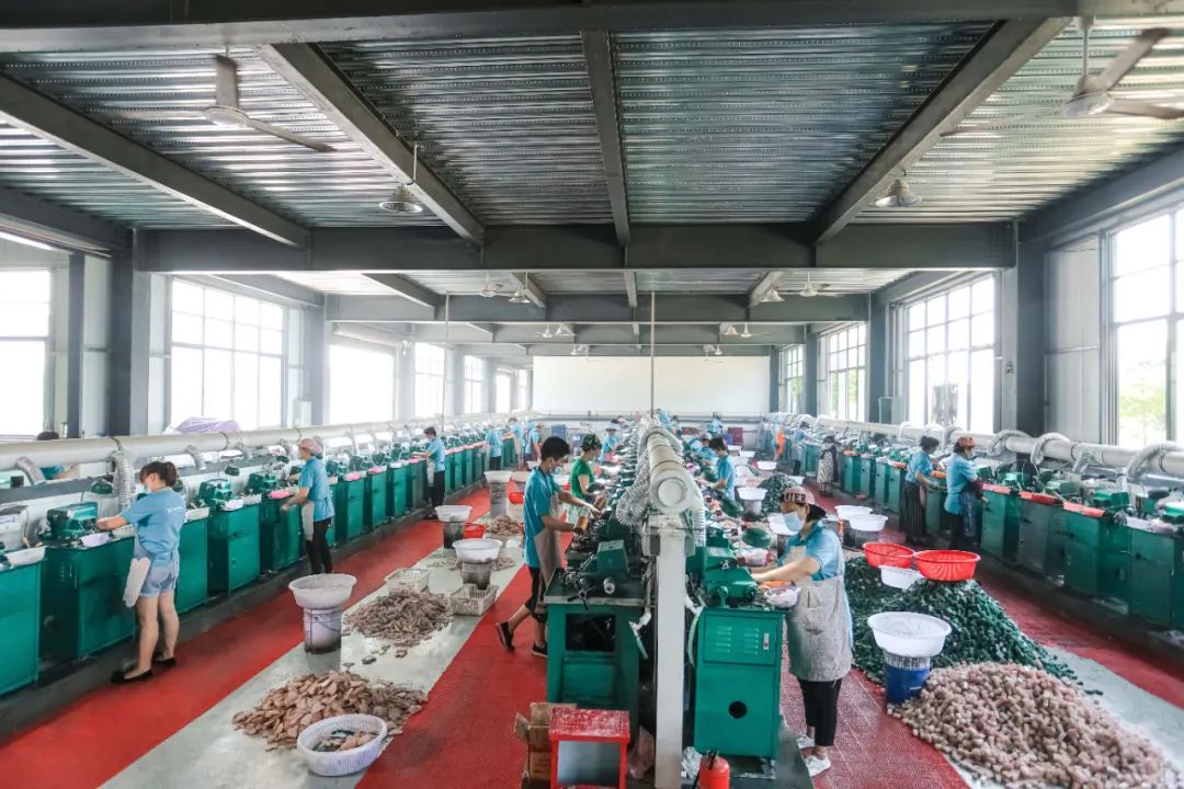 Gua sha manufacturer